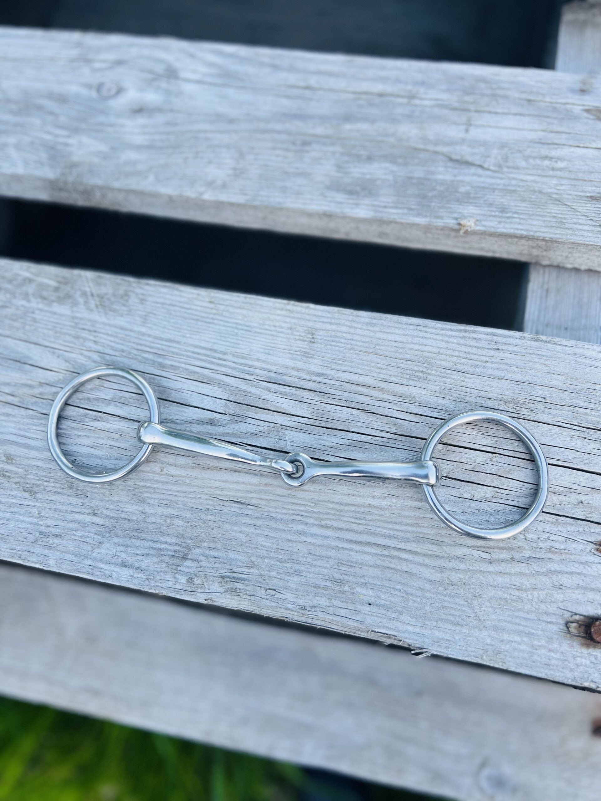 IMG 8821 1 1 IMG 8821 1 1