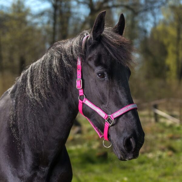 Grimma Shetland rosa med strass