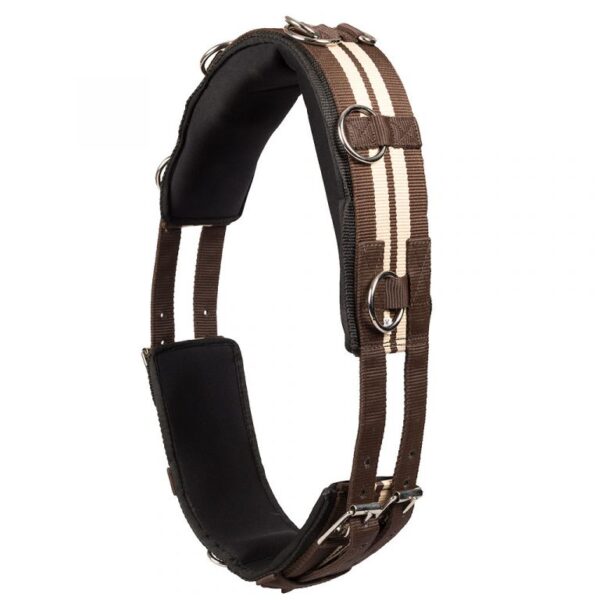 Tömkörningsgjord full