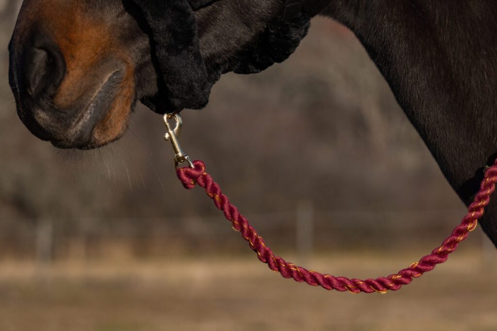 Grimskaft vinröd 180 cm