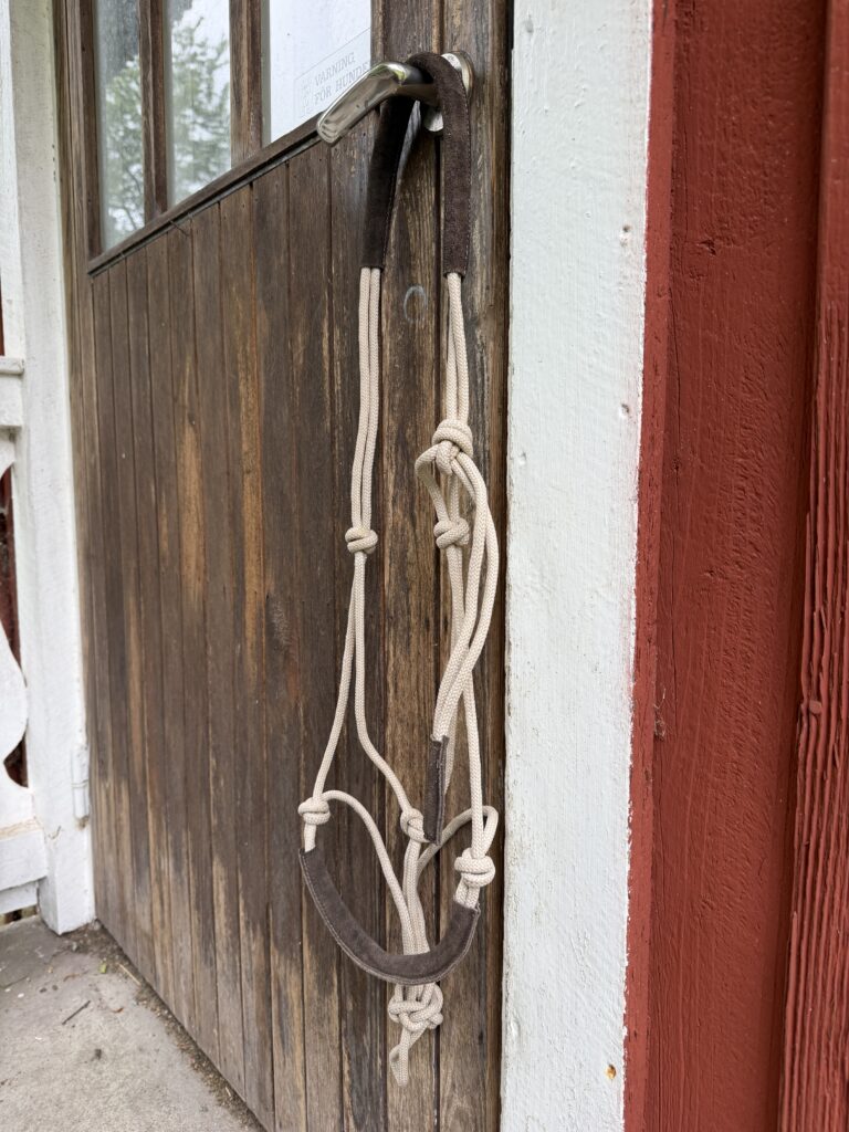 IMG 7127